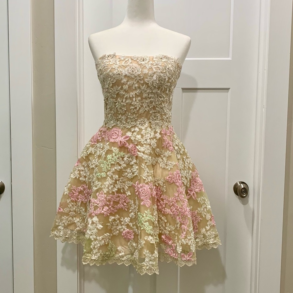 Beaded & embroidered floral lace mesh party dress